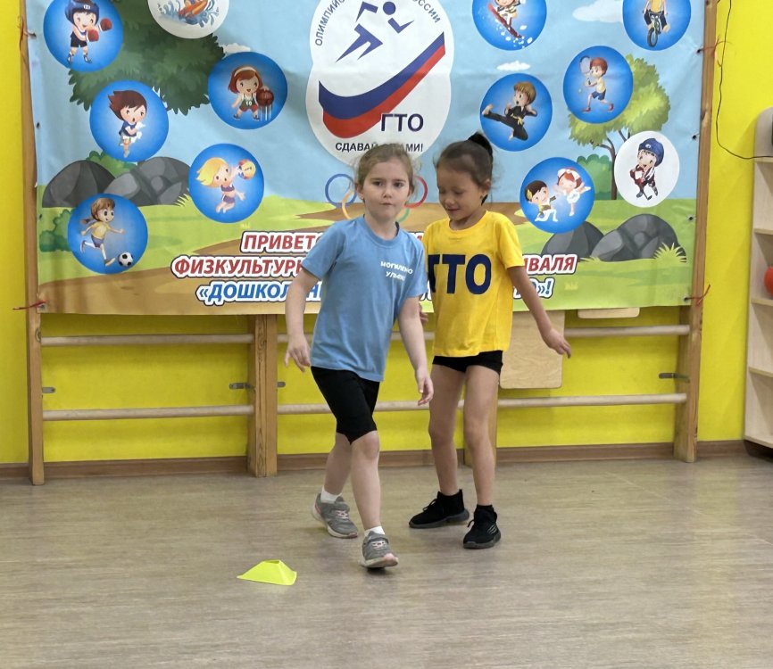 img (5)